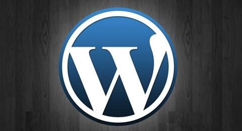 WordPress 使用 wp_register_script 函数引入 js 文件-何先生